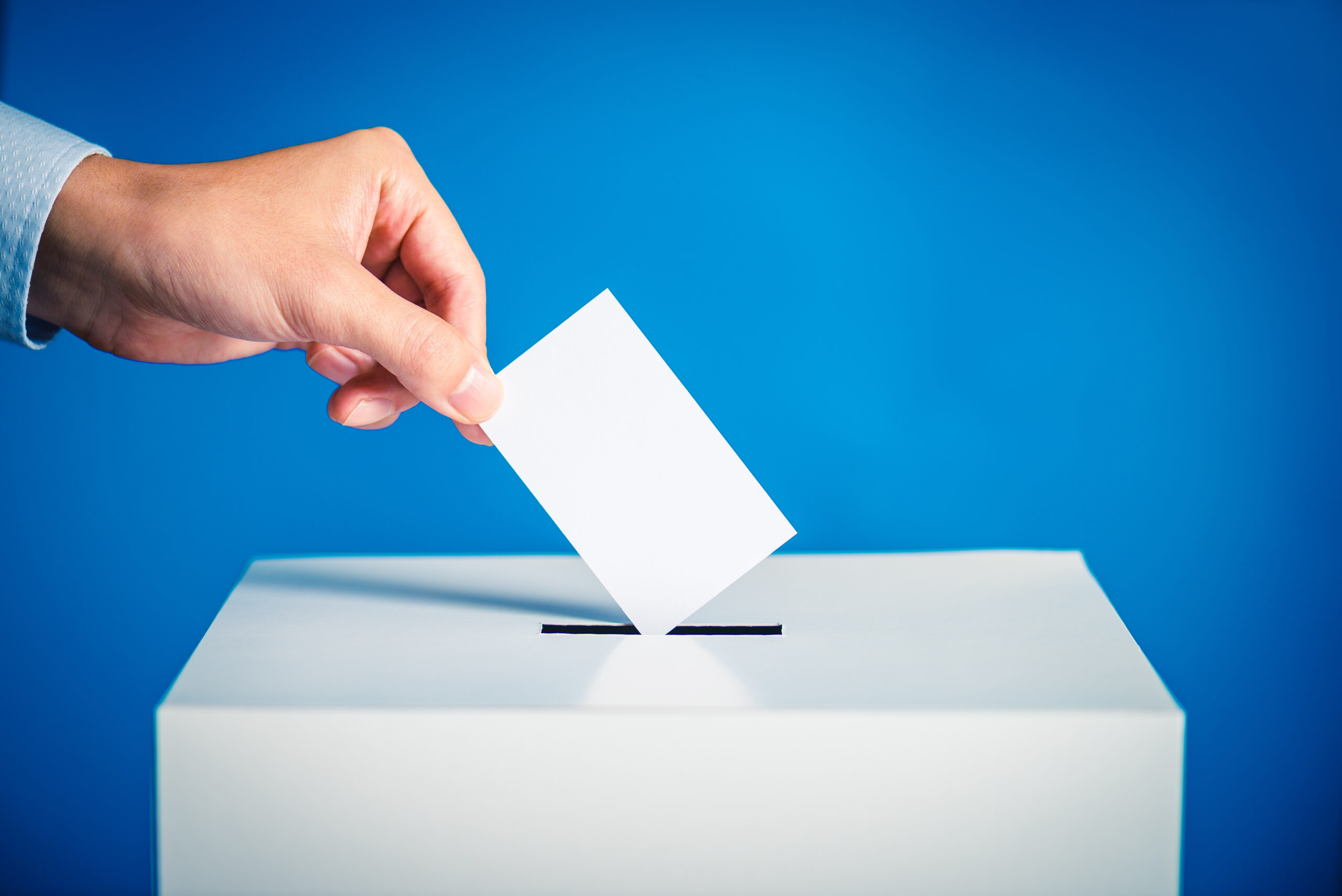 投票機能付きツール：迅速な意思決定をサポート